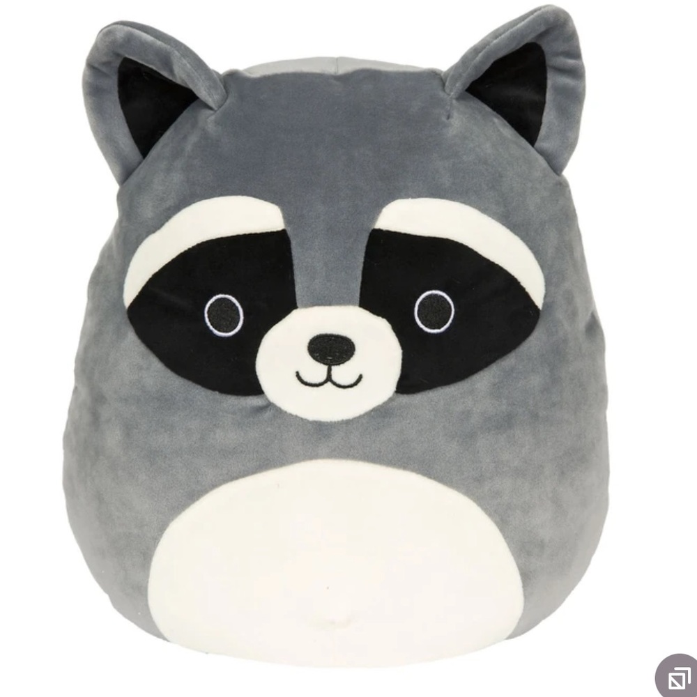 Mini Squishmallow Rocky the Raccoon Plush Toy